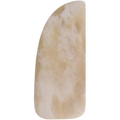 Material Bellas Artes - Encuadernacion - Paper Knife, bone 4x8,2 cm | totenart.com