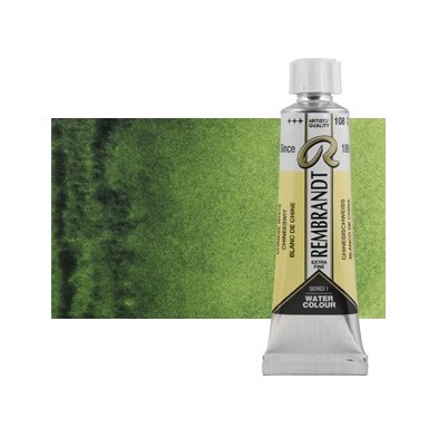 Fine art shop - Watercolour Rembrandt, 20 ml, Sap Green | totenart.com