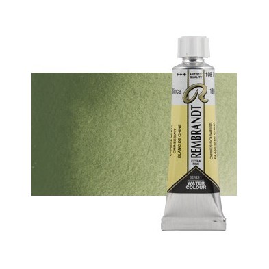 Fine art shop - Watercolour Rembrandt, 20 ml, Chromium Oxide Green | totenart.com
