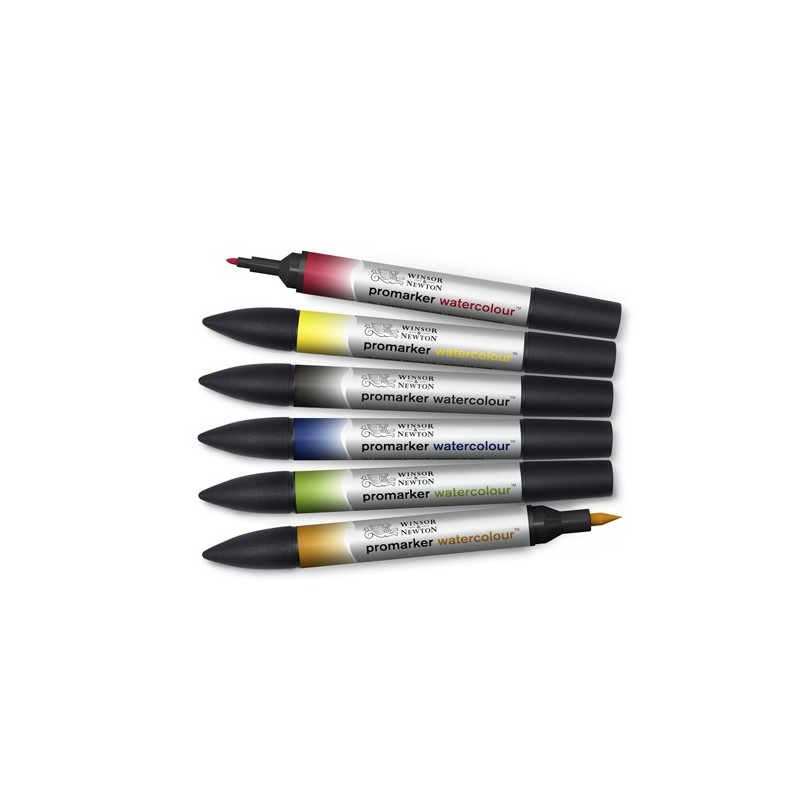 \nFine art shop - Set 6 watercolor Promarkers Winsor & Newton, basic tones | totenart.com