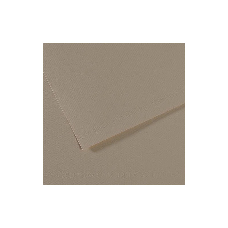  Fine art shop - Mi-teintes Canson Oyster, 160 gr., 50x65 cm. | totenart.com