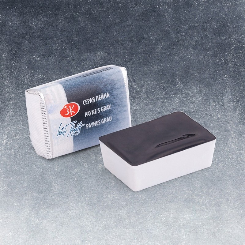 Fine art shop - White Nights Watercolors in godet Payne\'s Gray 812 | totenart.com