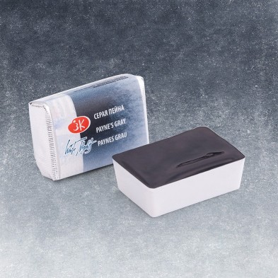 Fine art shop - White Nights Watercolors in godet Payne\'s Gray 812 | totenart.com