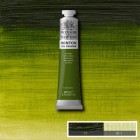 Fine art shop - Oil Winton W&N, Sap Green, 200 ml. | totenart.com