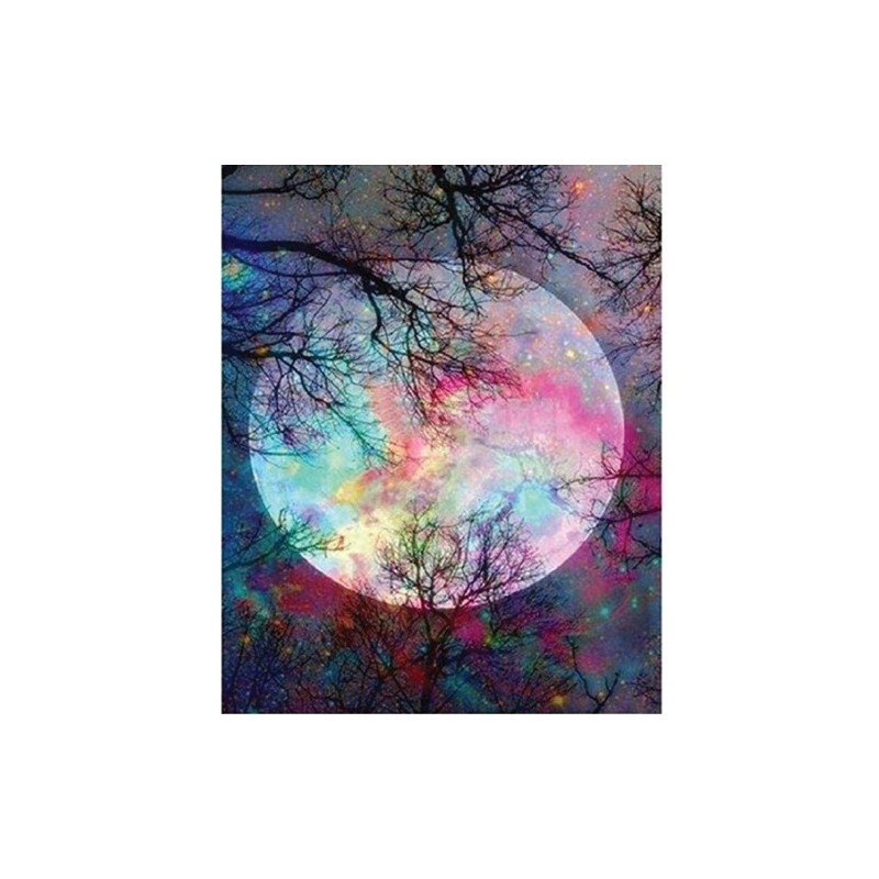 Fine art shop - Paint by numbers kit box \"Pleine Lune aux reflets\", 40x50cm, Figured\'Art | totenart.com 