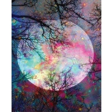 Fine art shop - Paint by numbers kit box \"Pleine Lune aux reflets\", 40x50cm, Figured\'Art | totenart.com 
