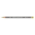 Fine art shop - Pencil Graphitint 10 Meadow Derwent | totenart.com 
