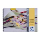  Fine art shop - Toned Paper Van Gogh Pad Forest Green, 30 sheets, 120 gr (A3) | totenart.com