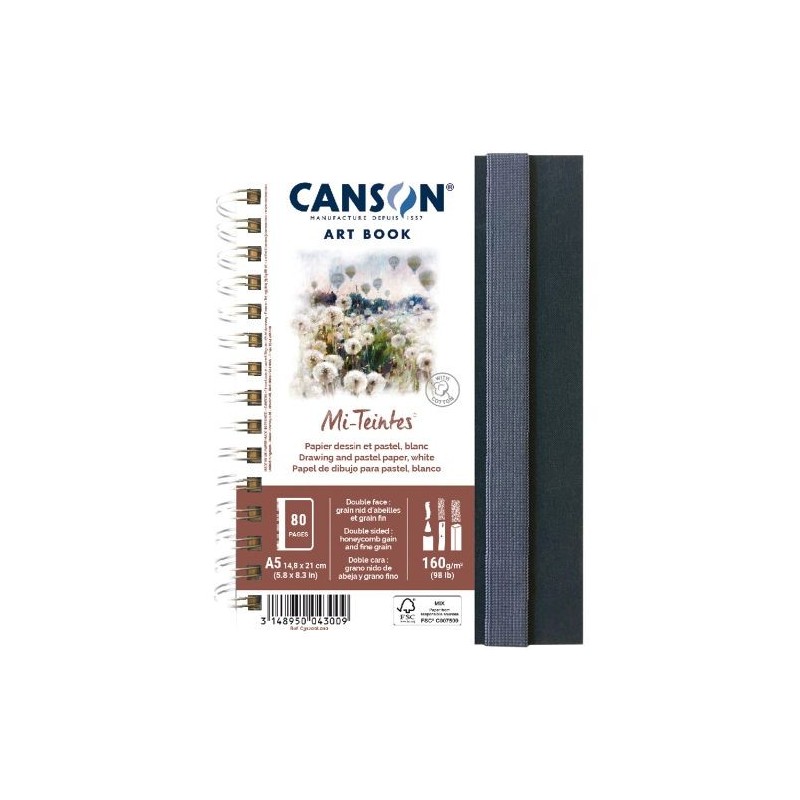  Fine art shop - Canson Art Book Mi-Teintes, Hardcover, 160 gr, 14.8x21, Double-sided: Gra. bee nest - Gr. Fino, 80 h. | totenar