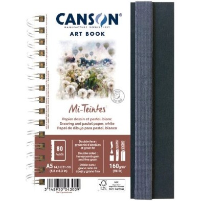  Fine art shop - Canson Art Book Mi-Teintes, Hardcover, 160 gr, 14.8x21, Double-sided: Gra. bee nest - Gr. Fino, 80 h. | totenar