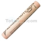  Fine art shop - Pastel Rembrandt Caput Mortuum Red 9 | totenart.com