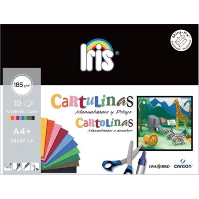 Set of 10 Assorted Iris Cardboards 24x32 (A4+) 185gr Canson