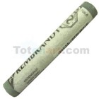  Fine art shop - Pastel Rembrandt Greenish Gray 5 | totenart.com