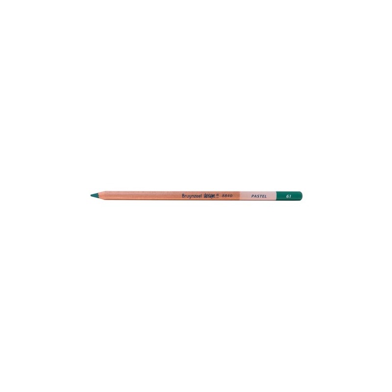  Fine art shop - Soft Pastel Pencil Bruynzeel Dark Green 61 | totenart.com