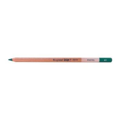  Fine art shop - Soft Pastel Pencil Bruynzeel Dark Green 61 | totenart.com
