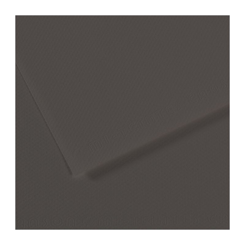  Fine art shop - Mi-teintes Canson Charcoal Gray, 160 gr., 50x65 cm. | totenart.com