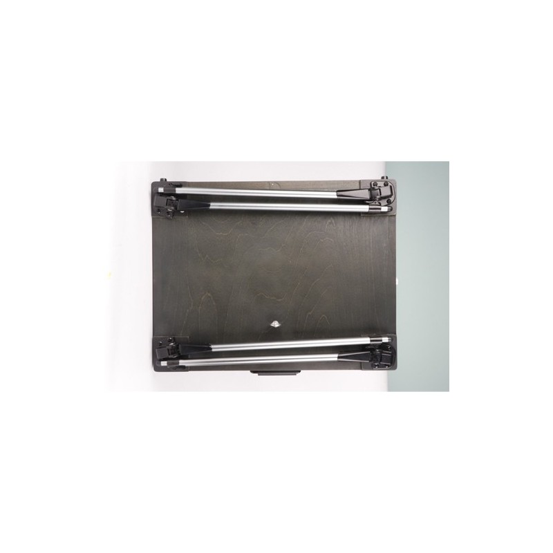 Fine art shop - Deluxe Box Easel Olive Phoenix | totenart.com