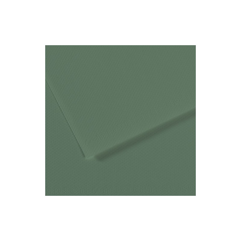  Fine art shop - Mi-teintes Canson Sage green, 160 gr., 50x65 cm. | totenart.com