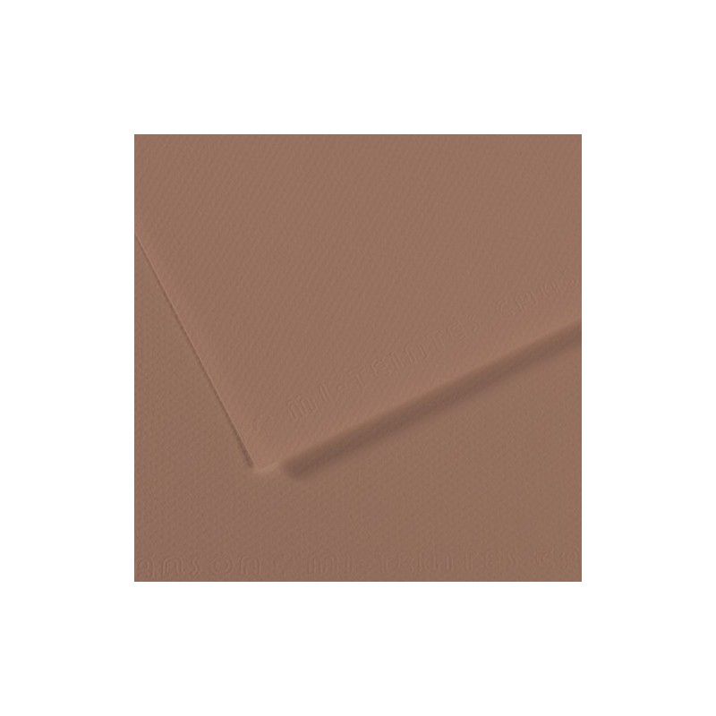  Fine art shop - Mi-teintes Canson Chestnut, 160 gr., 50x65 cm. | totenart.com