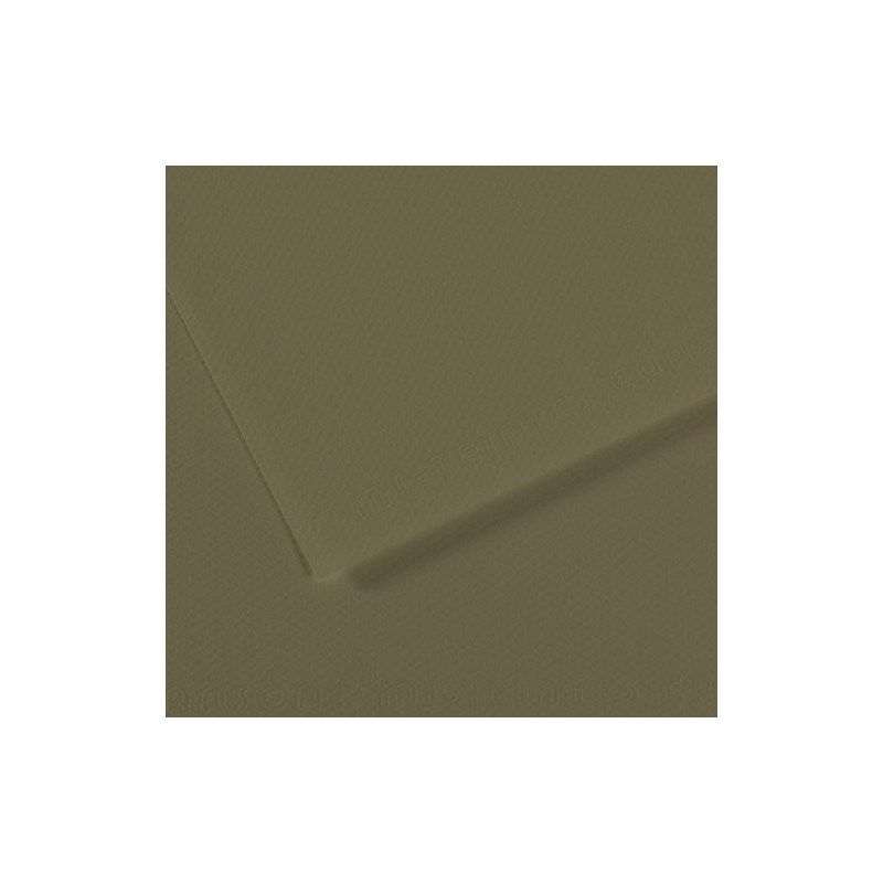  Fine art shop - Mi-teintes Canson Olive green, 160 gr., 50x65 cm. | totenart.com