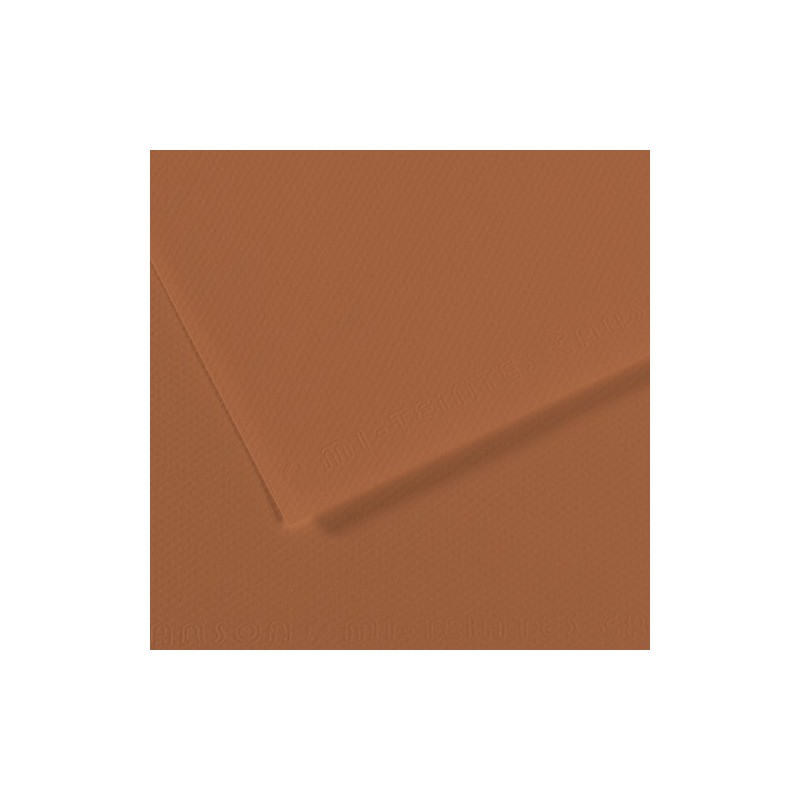  Fine art shop - Mi-teintes Canson Cinnamon, 160 gr., 50x65 cm. | totenart.com