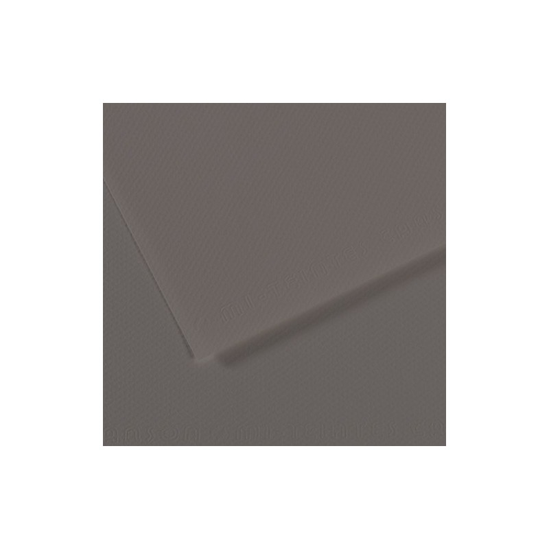  Fine art shop - Mi-teintes Canson Graphite, 160 gr., 50x65 cm. | totenart.com