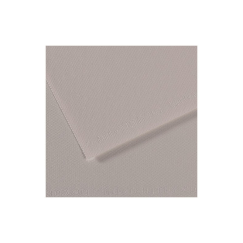  Fine art shop - Mi-teintes Canson Moonlight grey, 160 gr., 50x65 cm. | totenart.com