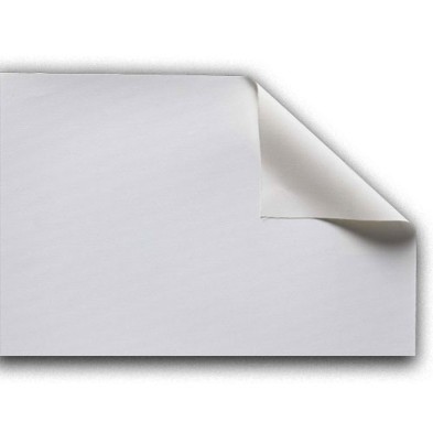 Fine art shop - Primed 100% polyester Canvas, Roll P1 2.10x10 m. | totenart.com