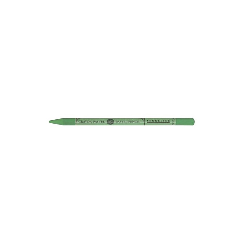 Fine art shop - Pastel crayon pencil n. 173 green moss gray, Sennelier | totenart.com