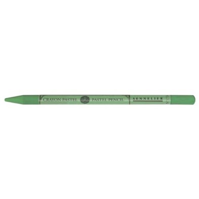 Fine art shop - Pastel crayon pencil n. 173 green moss gray, Sennelier | totenart.com