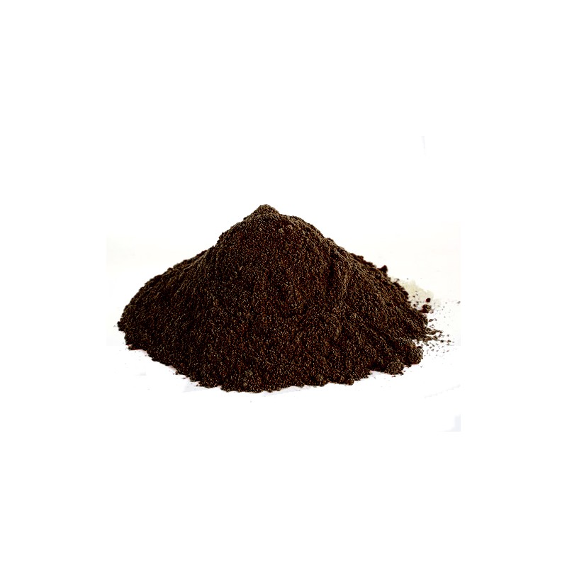 Fine art shop - Bitumen of judea powder, 100 gr. | totenart.com