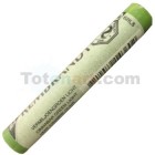  Fine art shop - Pastel Rembrandt Cinnabar Light Green 5 | totenart.com