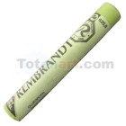  Fine art shop - Pastel Rembrandt Green Ollive 10 | totenart.com