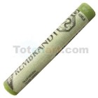  Fine art shop - Pastel Rembrandt Green Olive 5 | totenart.com