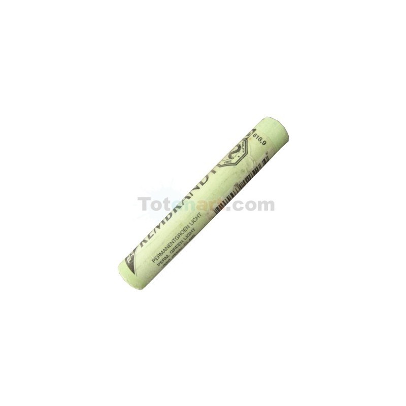  Fine art shop - Pastel Rembrandt Permanent Light Green 9 | totenart.com
