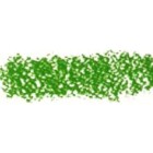 Carres Conte Light Green