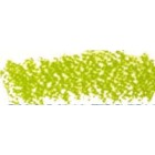 Carres Conte San Miguel Green